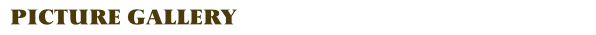 Picture Gallery